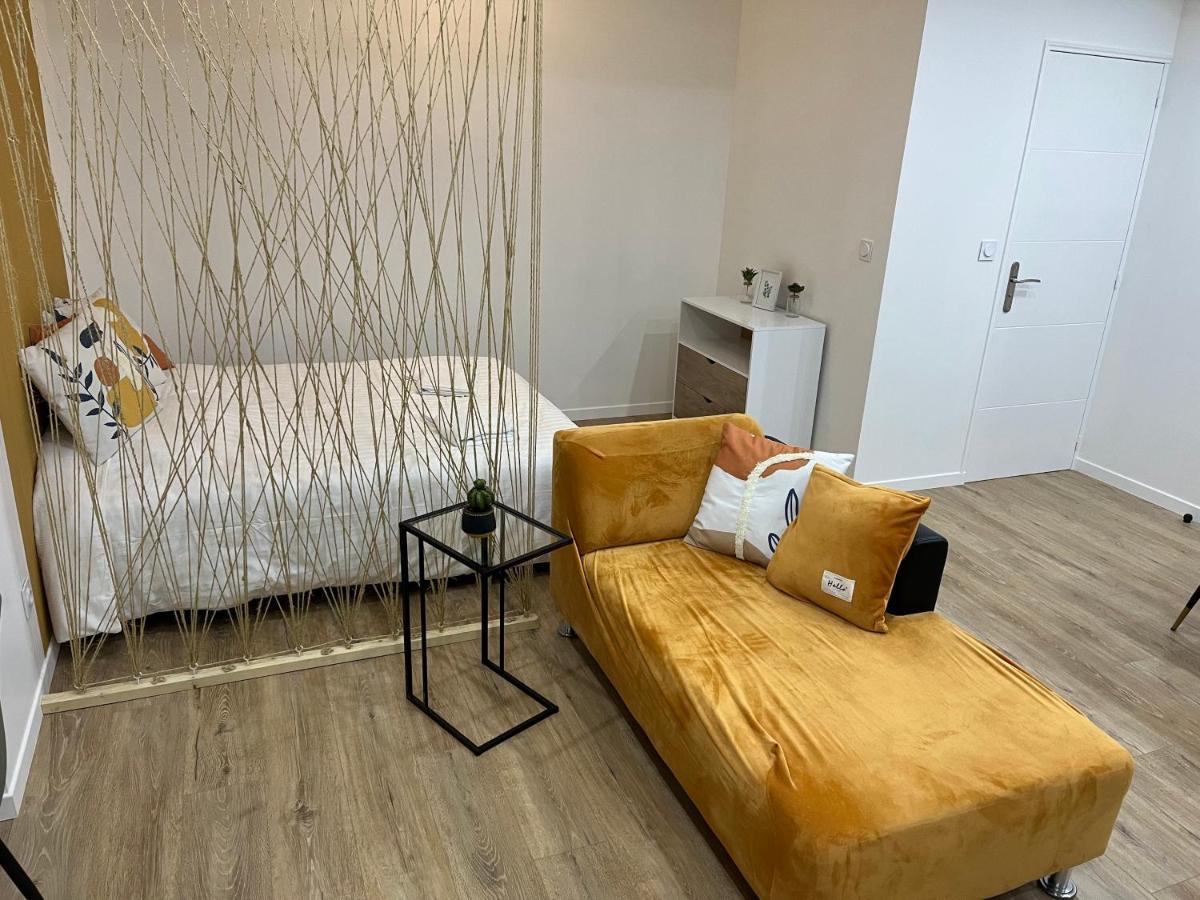 Appartement Luxe Jaune 圣艾蒂安 外观 照片