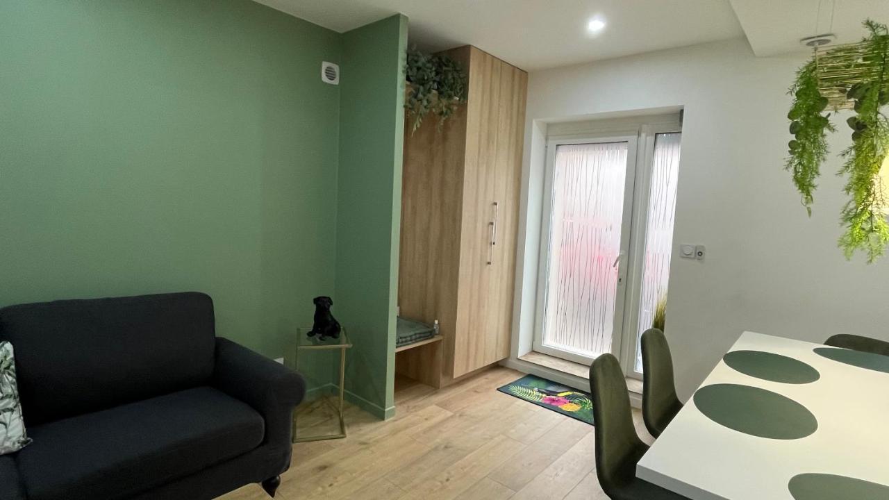 Appartement Luxe Jaune 圣艾蒂安 外观 照片